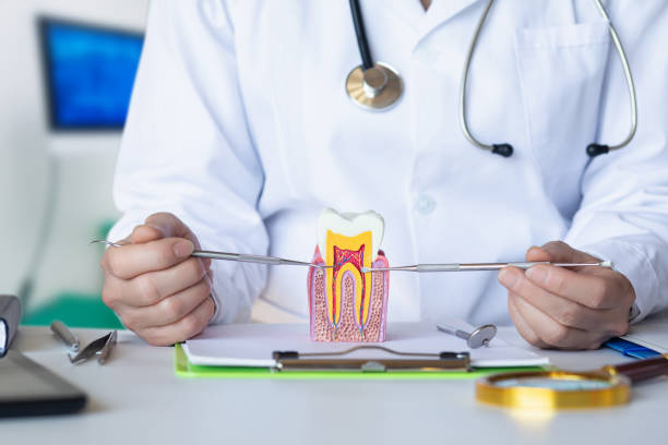 Best Emergency Dental Care for Broken or Chipped Teeth in Woodinville, WA